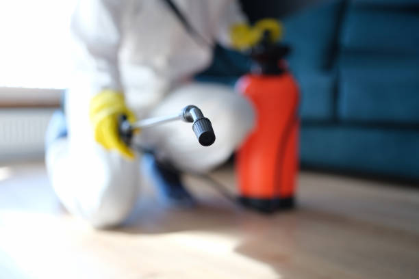 Mold Removal for HVAC Installations in Johnstown, PA