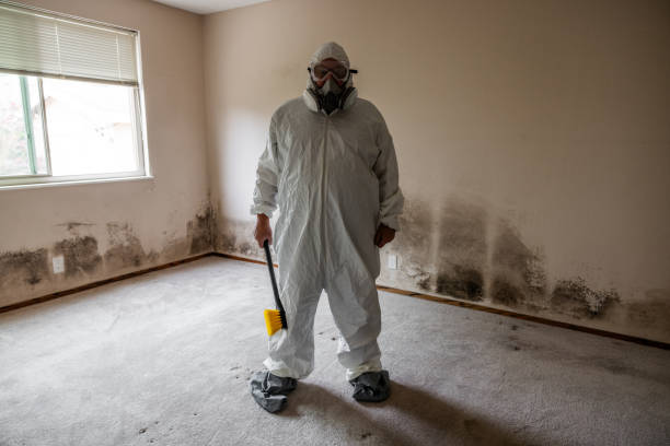 Best Mold Removal for HVAC Installations  in Johnstown, PA